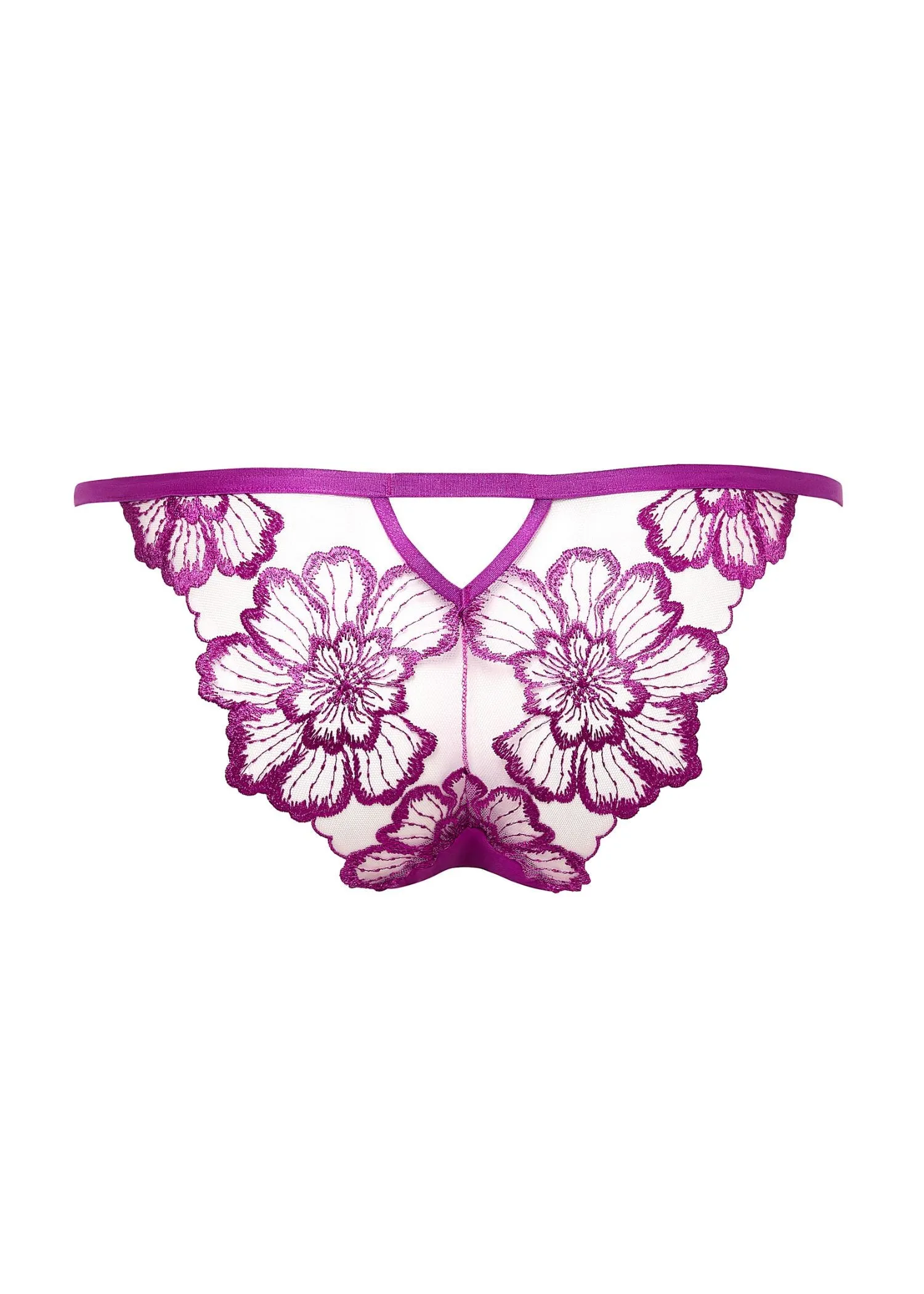 Catalina Brief (Bright Violet / Sheer)