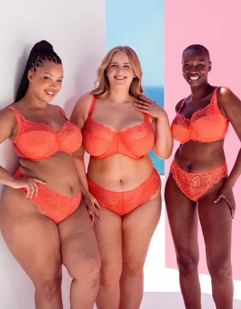 Curvy Kate Lovelace Brazilian Brief Coral
