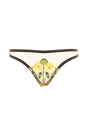 Daisy Brief