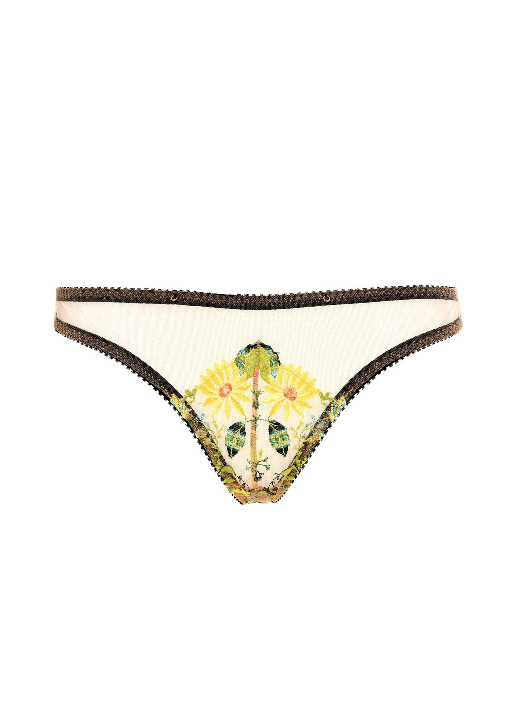 Daisy Brief