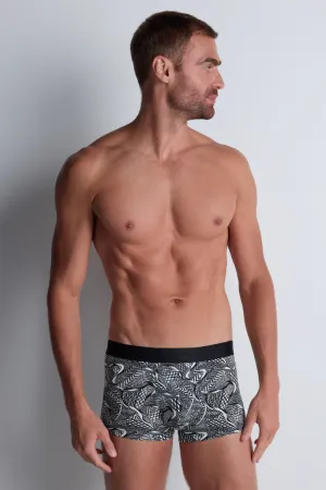 Homme Men's Cotton Modal Hypnotic Trunks